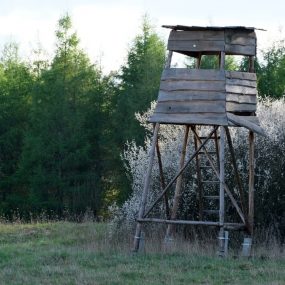 A rustic wooden hunting tower overlooking a lush forest clearing under a bright sky.